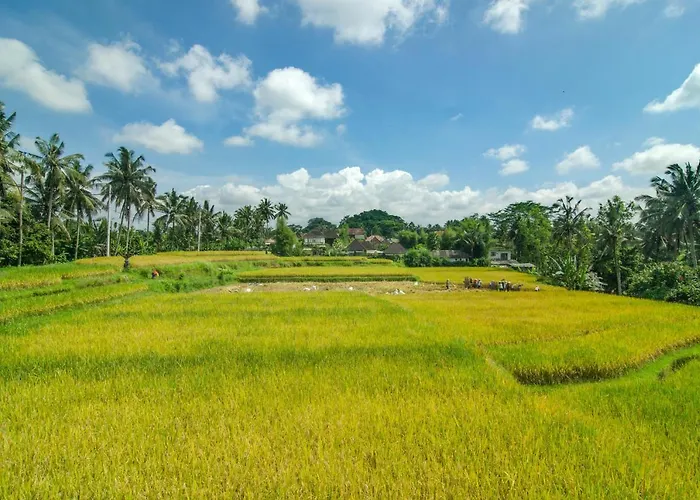 Hotel Danakha Ubud